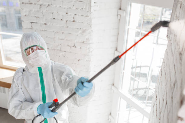 Best Post-Construction Mold Inspection  in Malverne, NY
