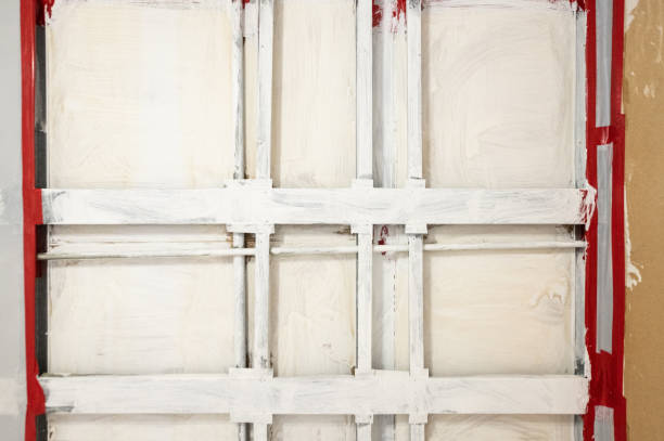 Best Forensic Mold Investigation  in Malverne, NY