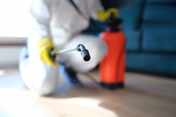 Best Airborne Mold Testing  in Malverne, NY